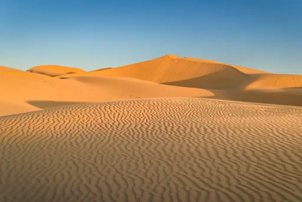 Man kan faktisk godt sælge sand i Sahara. Leadkompagniet holder sig til fakta og ordentlighed.